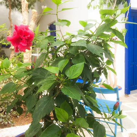 Galini Naousa (Paros)