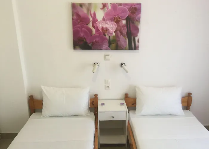 Guest house Galini Naousa (Paros)