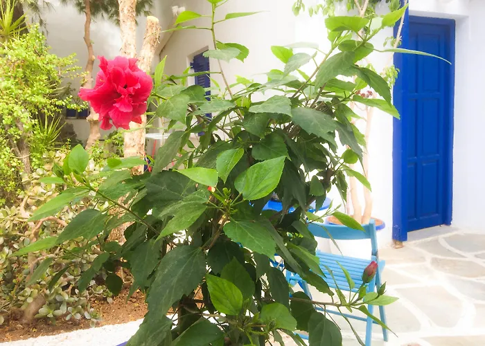 Galini Naousa (Paros)